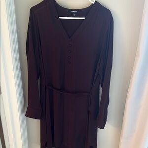 Express Deep Purple V-Neck Dress